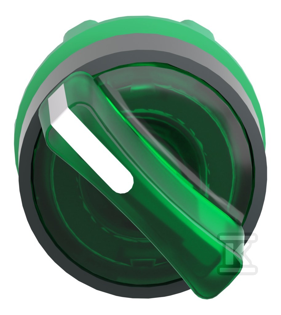 Interruptor de 2 posições verde estável - ZB5AK1233